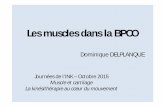 Le muscle dans la BPCO - delplanque-formation.com€¦ · [8èmes journées francophones Alvéole –Lyon Palais des congrès 12 et 13 mars 2010] Adaptation cardio-respiratoire à