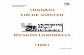 César&Alcaraz&Argüeso& & Universidad&UMH&dspace.umh.es/bitstream/11000/2153/1/TFM Alcaraz... · césar&alcaraz&argüeso& & & & universidad&umh&!! 4! & d. cuerpo#del#proyecto#aplicado#o#de#investigaciÓn##