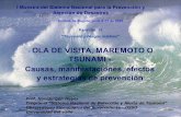 OLA DE VISITA, MAREMOTO O TSUNAMI - Causas ......(aprox.80 mil hab.) son dos factores de exposición variables: Nivel de marea: mínimo en 1906 y 1979 que haría un tsunami en marea