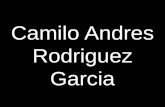 Camilo Andres Rodriguez Garcia - International Actuarial … · 2018-05-22 · Camilo Andres Rodriguez Garcia. Cómo aprendí a dejar de preocuparme y amar el ahorro individual. Contenido