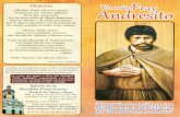 Franciscanos.clfranciscanos.cl/wp-content/uploads/2017/08/fr.andres.compressed.pdf · trabajadora, Andresito reunía a esos esforzados hombres, los educaba, les enseñaba a rezar
