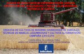 AVANCE DE RESULTADOS DE EXPERIMENTACIÓN AGRARIA. CENTRO …pagina.jccm.es/agricul/albaladejito/pdf/resultados... · 2016-09-29 · en el Centro Agrario de Albaladejito, de septiembre