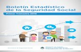 Boletín Estadístico de la Seguridad SocialCAPÍTUlO III - ASIgNACIONES FAMIlIARES 3.1 Asignaciones familiares periódicas 3.1.1 Casos y monto devengado de asignaciones familiares.