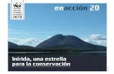 Inírida, una estrella para la conservaciónawsassets.panda.org/downloads/espanol_enaccion_20_2.pdf · El proyecto, además de ayudar a definir las estrategias de conservación en