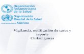 Vigilancia, notificación de casos y reporte Chikungunya · 2019-10-24 · 1 Normas y procedimientos para la vigilancia CIE-10 A 92.0 Chikungunya Detectar de manera oportuna casos