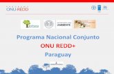 Programa Nacional Conjunto ONU REDD+ Paraguayd2ouvy59p0dg6k.cloudfront.net/downloads/programa... · Programa Nacional Conjunto ONU REDD+ Paraguay . El objetivo es asistir al gobierno