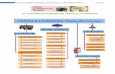15. GEOGRAFÍA HUMANA DE CASTILLA-LA MANCHAmilibrodigital.aulaalustante.com/libro digital... · GEOGRAFÍA HUMANA DE CASTILLA-LA MANCHA . 2 TEMA 1 5: Geografía humana de Castilla-La