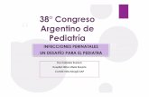 38° Congreso Argentino de Pediatría · CITOMEGALOVIRUS CONGENITO. CMV y embarazo Generalidades El CMV es un virus del grupo Herpescon propiedades de latencia y neurovirulencia luego