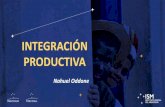 Integración productiva - MECOSUR · Integración ideológica vs. Integración pragmática • Mediados S. XX: Integración regional se correpondía con modelo de industrialización