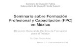 Seminario sobre Formación Profesional y Capacitación (FPC ......Seminario sobre Formación Profesional y Capacitación (FPC) en México Dirección General de Centros de Formación