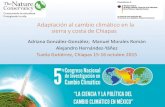 Adaptación al cambio climático en la sierra y costa de Chiapas Ad… · revista •60 entrevistas con expertos •12 episodios de radio-novela Difusión y sensibilización social