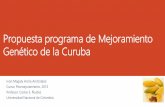 Propuesta programa de Mejoramiento Genético de la Curubacustodiosdesemillas.org/wp-content/uploads/2017/08... · 2017-08-30 · Implementar estrategias de mejoramiento genético