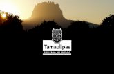 Agenda Energética de Tamaulipasiervictoria.com/archivos/20141014 - Agenda... · puerto de cabotaje Puerto de Matamoros en desarrollo 1 13,986 km de carreteras y caminos. San Luis
