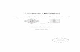 matematicas.uam.esmatematicas.uam.es/.../mgeom1112/compl_geom11.pdf · Indice general 1. Bases de geometr a diferencial 1 1.1. El concepto de variedad . . . . . . . . . . . . . .