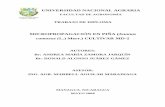 MICROPROPAGACIÓN EN PIÑAcenida.una.edu.ni/Tesis/tnf01z25.pdf · 1 Variantes de medios de cultivo utilizados en la fase de establecimiento in vitro deápices axilares de piña (Ananas