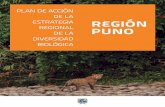 DE LA REGIÓN PUNO - SINIA | Sistema Nacional de ...siar.minam.gob.pe/puno/sites/default/files/...cobertura vegetal. De otro lado, en la cuenca del Titicaca, el inadecuado tratamiento
