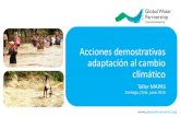Acciones demostrativas adaptación al cambio climáticoconferencias.cepal.org/mapa_cepal/Jueves 4/Pdf/F Tabora.pdf · Taller MAPAS Junio 2015 Contexto Regional –Área de 521,598