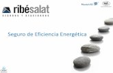 Seguro de Eficiencia Energética · 2017-01-19 · Ahorro Generado – La cantidad de ahorro conseguido gracias al conjunto de iniciativas de ahorro energético instalado por la ESE