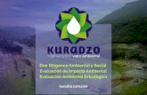 Due Diligence Ambiental y Social Evaluación de …kuradzo.com/wp-content/uploads/2019/08/FlyerEASEIA.pdfLa evaluación de impacto ambiental es un instrumento de la política ambiental,