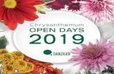 Chrysanthemum OPEN DAYS 2019 · Este año estamos felices de presentar “Better4Less”. El icono “Better4Less” identifica variedades que, además de sus características sobresalientes,
