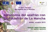 Diapositiva 1 - Consejo Regulador DOP Azafrán de La Mancha · España Grecia 0,20 m 0,25 m Media kg/ha año ... Diapositiva 1 Author: Usuario Created Date: 10/30/2015 9:37:18 AM