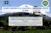 AVANCES Y DESAFIOS EN EL MANEJO DE LA LABRANZA DEL SUELO EN ECUADORclacs.org/presentaciones/2-PresentacionesOrales/188.pdf · La erosion de los suelos es el problema ambiental más