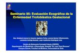 Seminario 95: Evaluación Ecográfica de la Enfermedad ... · Mola hidatiforme es una neoplasia trofoblástica gestacional. Incidencia 0,5-1/1000 embarazos Se identifica clásicamente