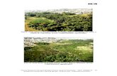 Foto 9 - Vista Aérea na direção SW-NE do Parque Saburo … · 2019-05-03 · 38 Foto 9 - Vista Aérea na direção SW-NE do Parque Saburo Onoyama. Ao fundo, a cidade de Taguatinga.