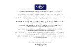 CERVECERIA ARTESANAL “CHASKA”repositorio.usil.edu.pe/bitstream/USIL/2922/3/2017_Villa... · 2019-03-11 · CERVECERIA ARTESANAL “CHASKA ... Tabla 10: Consumo Per Cápita de