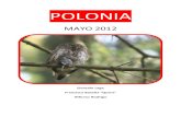POLONIA - Reservoir Birds · Polonia es un país muy barato para nosotros y con una amplia oferta hostelera, lo que te permite no depender de reservas previas que puedan condicionar