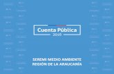 SEREMI MEDIO AMBIENTE REGIÓN DE LA ARAUCANÍApublico.mma.gob.cl/cuentapublica/doc/2016/PPT_CuentaPublica_20… · 2014 2015 2016 2016 Leña 1.322 - 650 - 1.972 47% Pellets 137 492