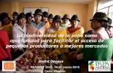 El reto de articular productores de papas nativas de ...cipotato.org/wp-content/uploads/Papanat 2010/1. Devaux.pdf · Efectos sobre el bienestar •Valor agregado y ingresos mejorados