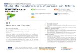 M Mercosur R SME elpdes Manage your Intellectual …accioneduca.org/.../registro-de-marca_1563829420.pdfGuía de registro de marcas en Chile IMPORTANT ISSUES FACTSHEET Mercosur IPR
