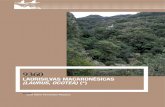 LaurisiLvas macaronésicas (Laurus, OcOtea) (*) · 2010. 3. 18. · 1. 1. Univ. de la Laguna. colaboraciones específicas relacionadas con los grupos de especies: invertebrados: Centro