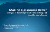 TraceyTokuhamaEspinosa,Ph.D. tracey.tokuhama@gmail.com ... · TOKUHAMA-ESPINOSA MIND, BRAIN, and EDUCATION SCIENCE Mind, Brain, and Education Science Tracey Tokuhama-Espinosa A COMPREHENSIVE