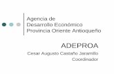 Agencia de Desarrollo Económico Provincia Oriente Antioqueño · • Observación física del territorio por parte del coordinador, sector publico, privado, social y facilitadotes