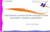 Vacunación a través de las mucosas contra sarampión, rubéola y …tie.inspvirtual.mx/recursos/ciclo_videoconferencias/vci... · 2012. 10. 8. · • 1 semana antes del exantema