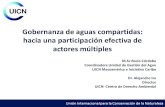 Gobernanza de aguas compartidas: hacia una participación ... · hacia una participación efectiva de actores múltiples M.Sc Rocío Córdoba ... • Desafíos • Iniciativas •