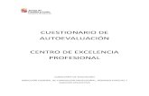 CUESTIONARIO DE AUTOEVALUACIÓN CENTRO DE EXCELENCIA ... · cuestionario de autoevaluaciÓn centro de excelencia profesional consejerÍa de educaciÓn direcciÓn general de formaciÓn