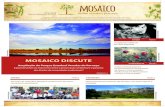 MOSAICO DISCUTE - .: Mosaico :. – Mosaico · unidades de conservação do Mosaico SVP e uma viagem de intercâmbio. Até o fim de setembro, serão formados 30 condutores, dos três