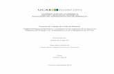 VICERRECTORADO ACADÉMICO AREA DE CIENCIAS …biblioteca2.ucab.edu.ve/anexos/biblioteca/marc/texto/AAT4340.pdf · Proyecto de Trabajo de Grado de Maestría Análisis del impacto financiero