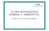 FLORA MICROBIANA NORMAL Y AMBIENTAL.melissapuentes.weebly.com/.../flora_normal.pdf · Flora Normal • Flora basal: es la característica de cada sector del organismo., constituida