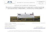 Informe de Auditoría Ambiental Proyecto y construcción de ...Proyecto y construcción de nuevos puentes y adecuación de accesos en la Ruta Nacional N° 7 sobre los Arroyos Sarandí