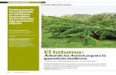 FLORA AMIGA DEL GANADO - bufalosbelterra.com · más tradicionales de la región Caribe y otras regiones de Colombia, donde además de proporcionar sombra ayuda a complementar la