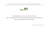 INFORME DE EVALUACIÓN EXTERNA DEL VICERRECTORADO DE …extension.uca.es/wp-content/uploads/2017/10/2636.pdf · 2017. 10. 19. · Plan Andaluz de Calidad de las Universidades. Protocolo