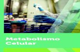 METABOLISMO CELULAR Metabolismo Celularcm-kls-content.s3.amazonaws.com/.../METABOLISMO... · No metabolismo celular é investigada a química da vida – a bioquímica, estudando