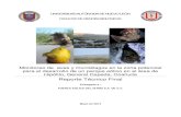 Reporte Técnico Finalproyectoeolicadecoahuila.com/wp.../03/Anexo-4.3...y-mariposa-mona… · (Orden Quiróptera) y la población de mariposas monarca (Danaus plexippus) en el área