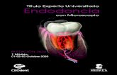 Título Experto Universitario Endodoncia · El curso, está dirigido a todos aquellos postgraduados que quieren iniciarse o perfeccionarse en el mundo de la endodoncia. Supone una