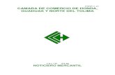 FRRP11-01 CAMARA DE COMERCIO DE HONDA, GUADUAS Y … · 2020. 8. 10. · importante por instrucciÓn de la superintendencia de industria y comercio y en aplicaciÓn del decreto 434