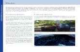Biochar - Poly Farmingpolyfarming.eu/wp-content/uploads/2020/01/Biochar.pdf · 1 El biochar (o biocarbón) es el nombre que recibe el carbón vegetal que se produce a partir de pirólisis